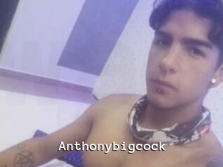 Anthonybigcock