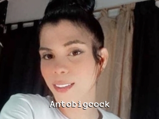 Antobigcock