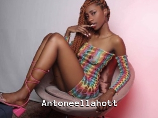 Antoneellahott