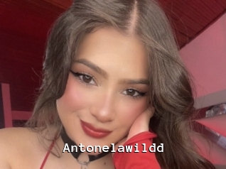 Antonelawildd
