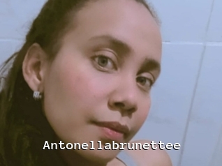 Antonellabrunettee
