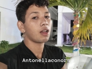 antonellaconors Webcamsex Amateur
