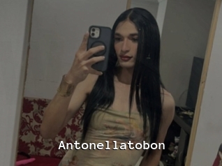 Antonellatobon