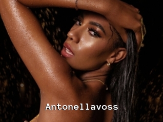 Antonellavoss
