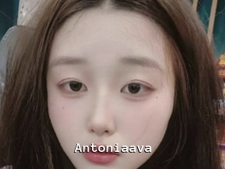 Antoniaava