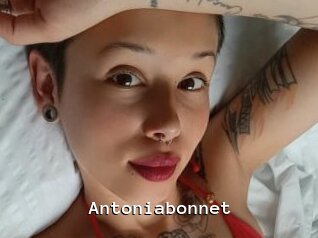Antoniabonnet