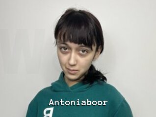Antoniaboor