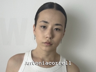 Antoniacorrell