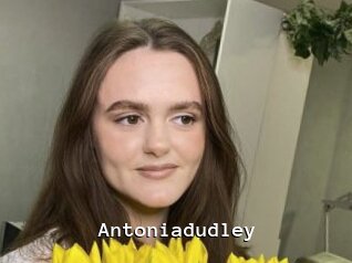 Antoniadudley