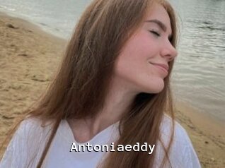 Antoniaeddy