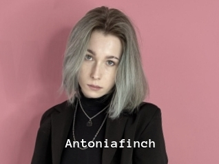 Antoniafinch