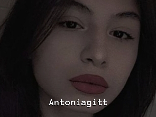 Antoniagitt