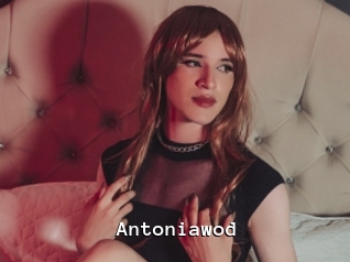 Antoniawod