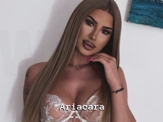 Ariacara