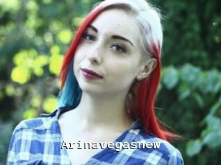 Arinavegasnew