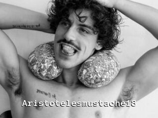 Aristotelesmustache18
