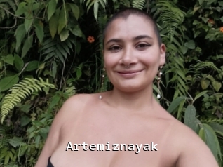 Artemiznayak