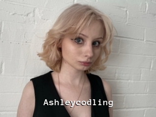 Ashleycodling