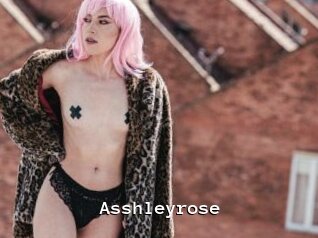 Asshleyrose