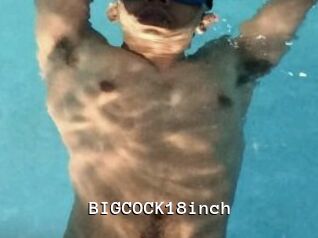 BIGCOCK18inch