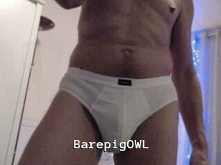 BarepigOWL Webcamsex Amateur