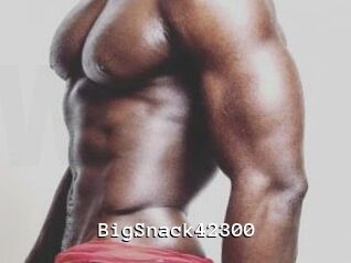 BigSnack42300