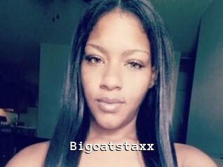 Bigcatstaxx
