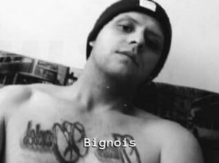 Bignois