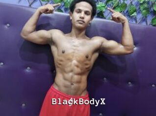 BlackBodyX