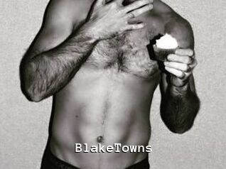 BlakeTowns