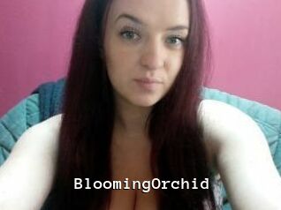 BloomingOrchid