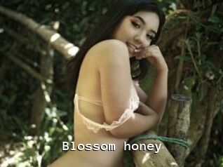 Blossom_honey