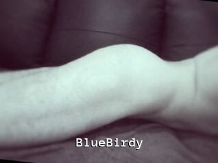 BlueBirdy