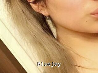 Blue_jay