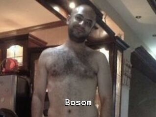 Bosom