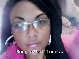 BougieStallionest