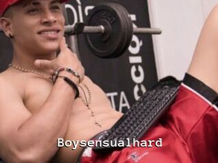 Boysensualhard