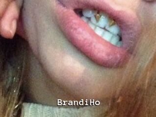 BrandiHo