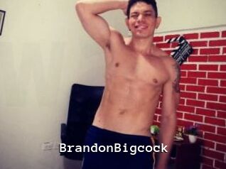 BrandonBigcock