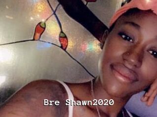 Bre_Shawn2020