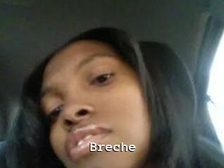 Breche