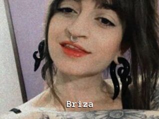 Briza