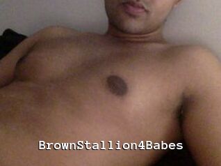 BrownStallion4Babes