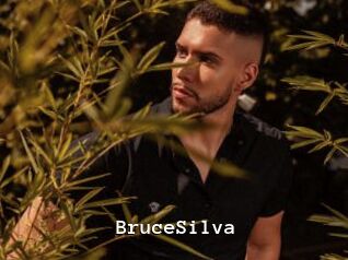 BruceSilva