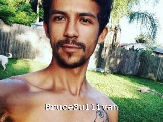 Bruce_Sullivan Webcamsex Amateur