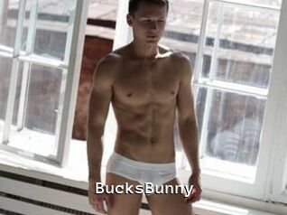 BucksBunny