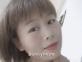 Bunnyhere