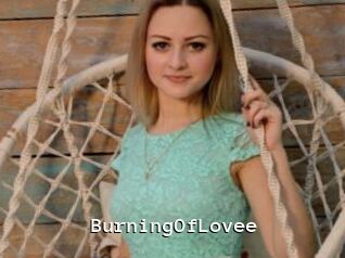 BurningOfLovee
