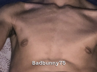 Badbunny75