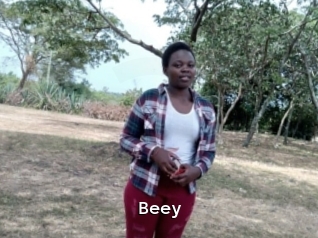 Beey